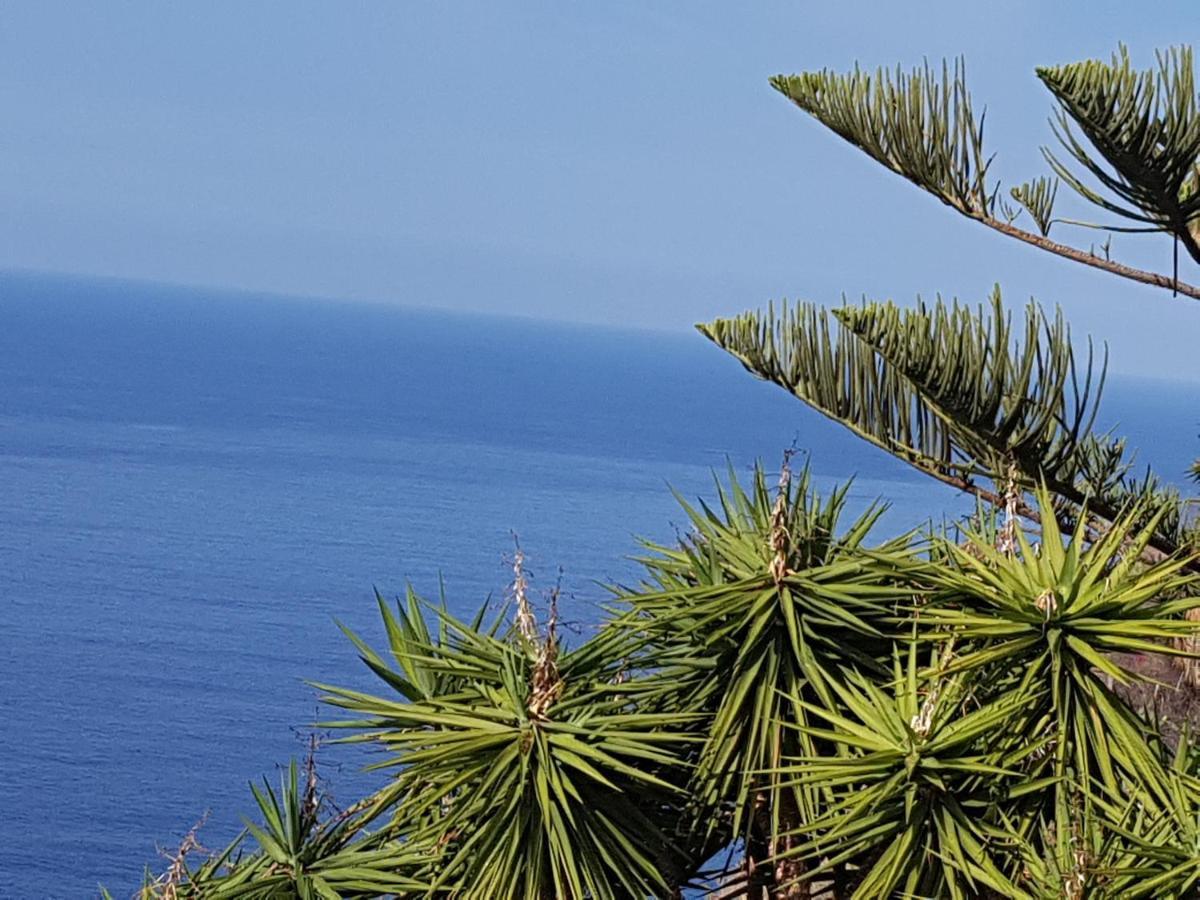 Tenerife Rooms S. C. Санта-Крус-де-Тенерифе Экстерьер фото