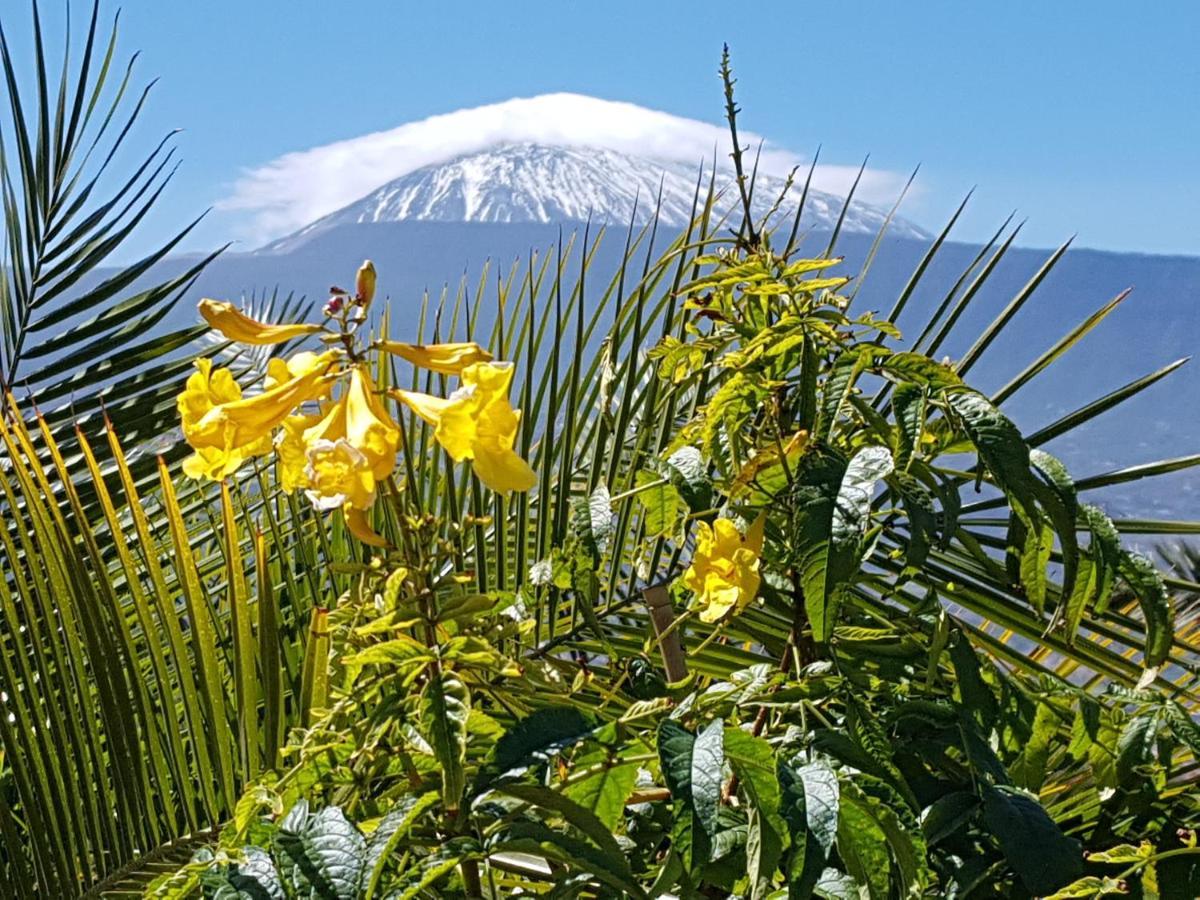 Tenerife Rooms S. C. Санта-Крус-де-Тенерифе Экстерьер фото